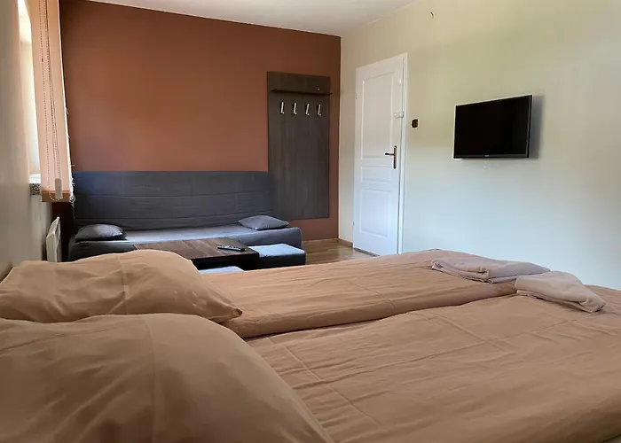 Ondraszek-pokoje Goscinne * שצ'צ'ירק